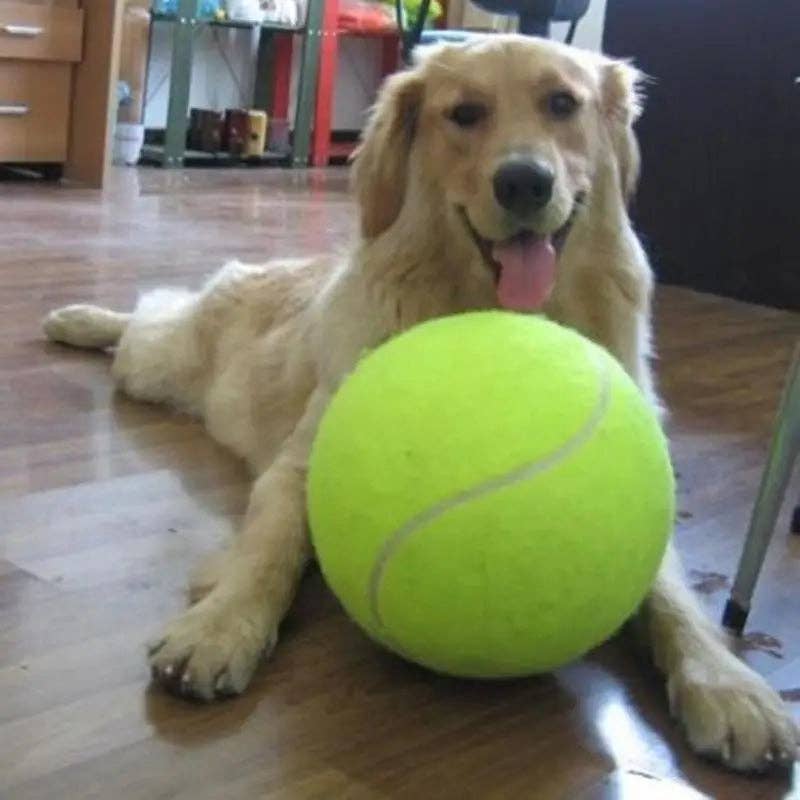 Mega Tennis Ball Dog Toy