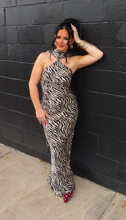 The Zebra Dress