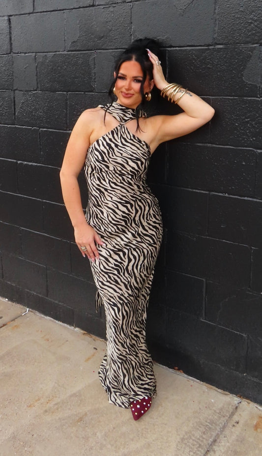 The Zebra Dress