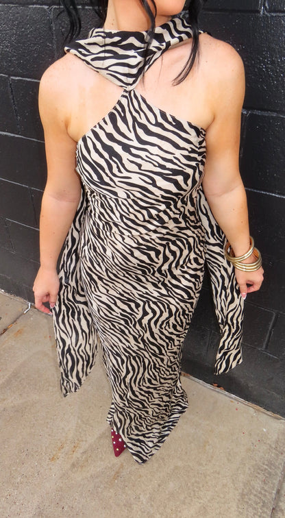 The Zebra Dress