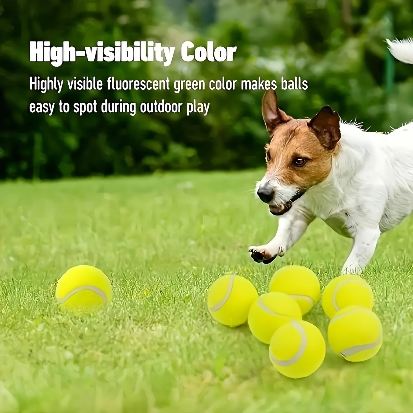 4pcs Interactive Dog Tennis Balls