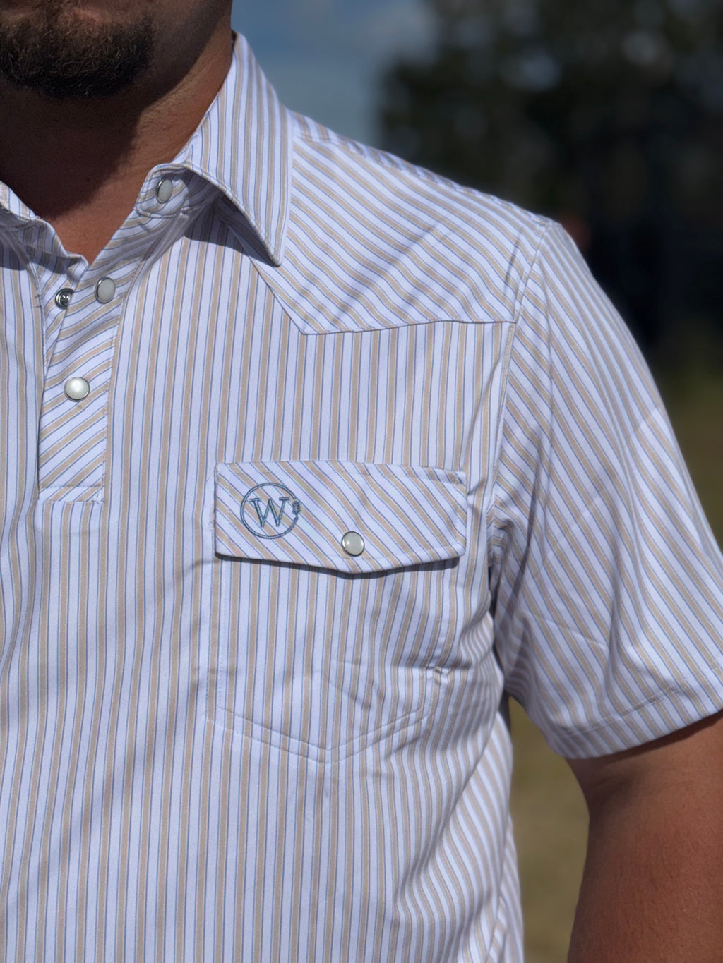 The Mark Polo