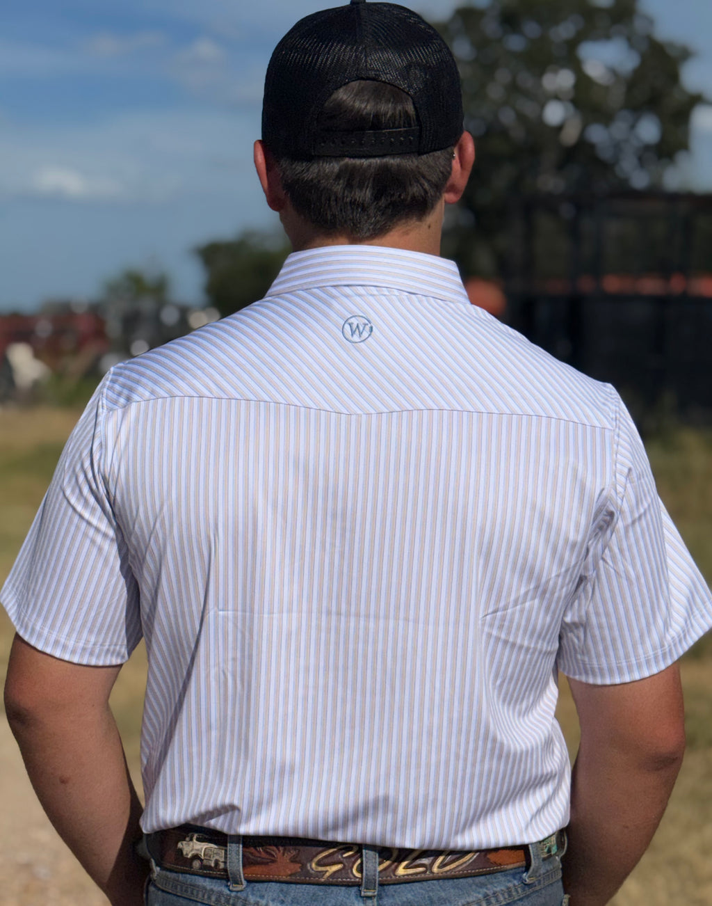 The Mark Polo