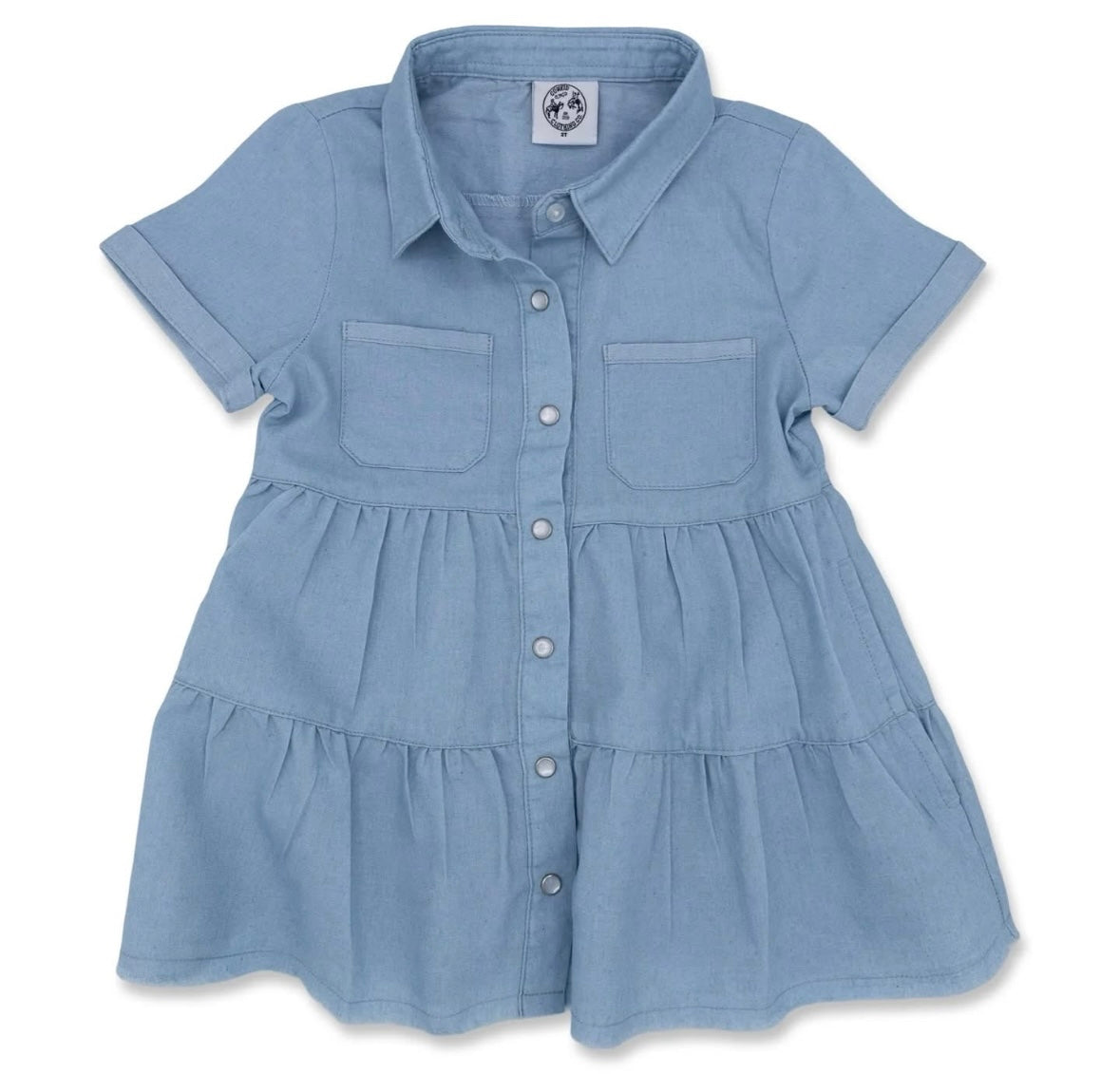 Light Denim Pearl Snap Dress