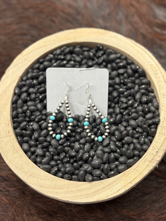 Navajo & Turquoise Earrings