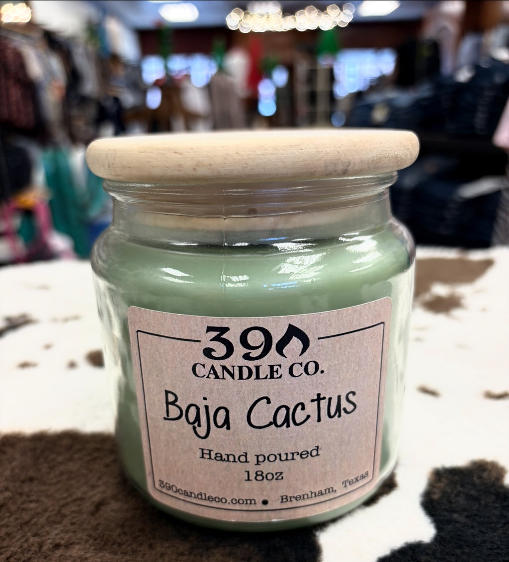 Baja Cactus