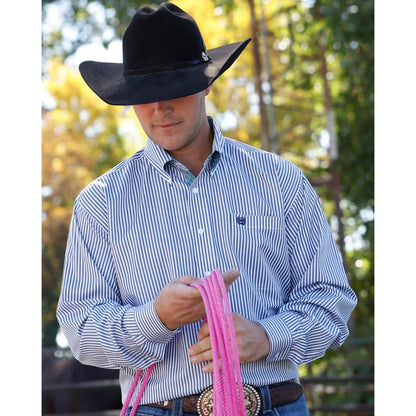 Cinch Men's Blue Striped Button Down