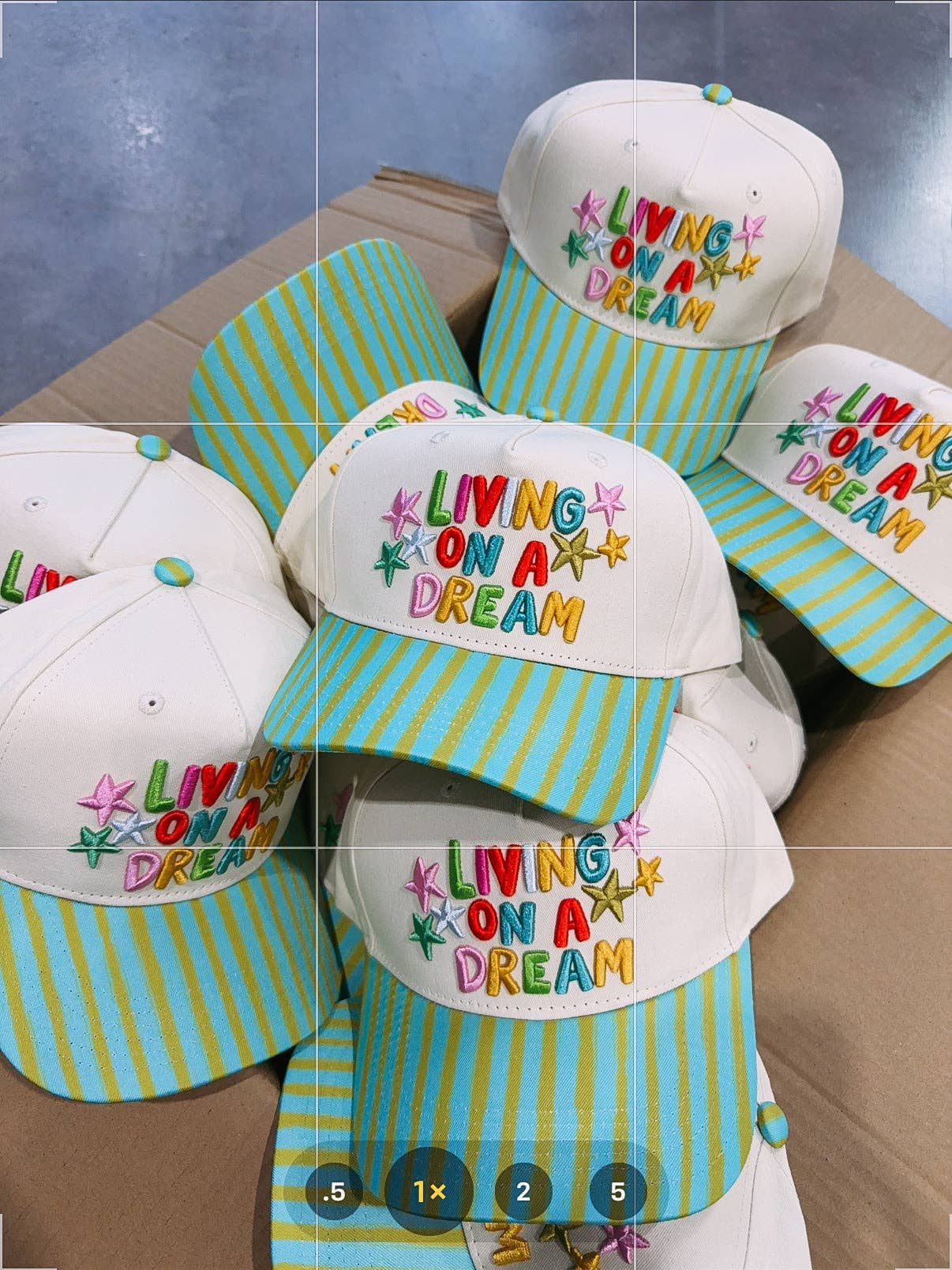 Livin' On A Dream Trucker Hat